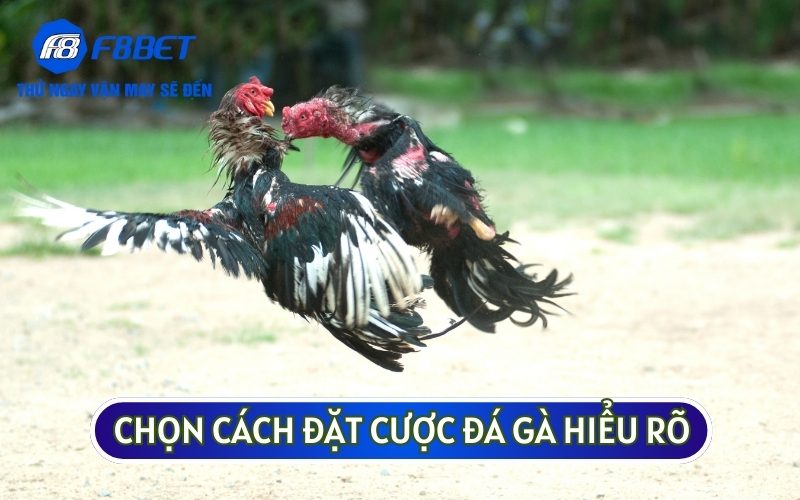 Bạn nên chọn những loại cược phù hợp với sở thích và mức độ hiểu biết của mình